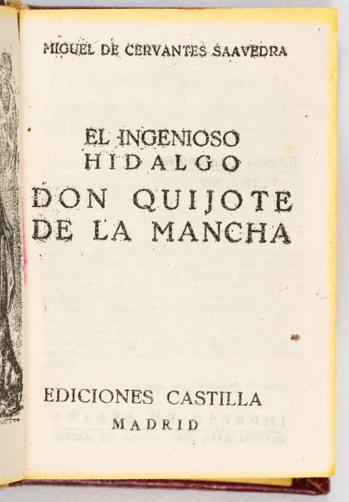 Colección de libros en miniatura