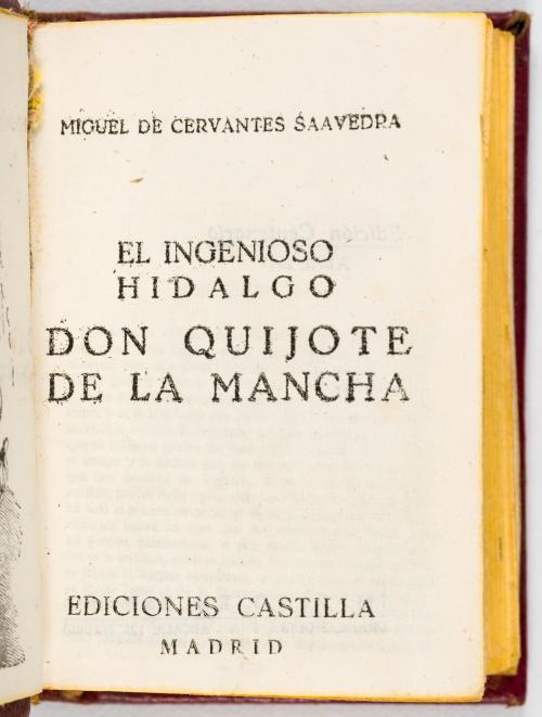 Colección de libros en miniatura