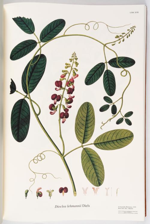 Flora de la Expedición Botánica 