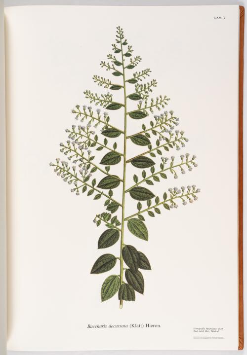 Flora de la Expedición Botánica 