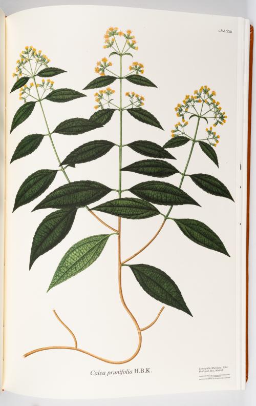 Flora de la Expedición Botánica 