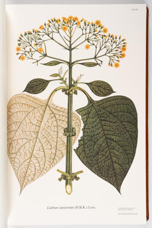 Flora de la Expedición Botánica 