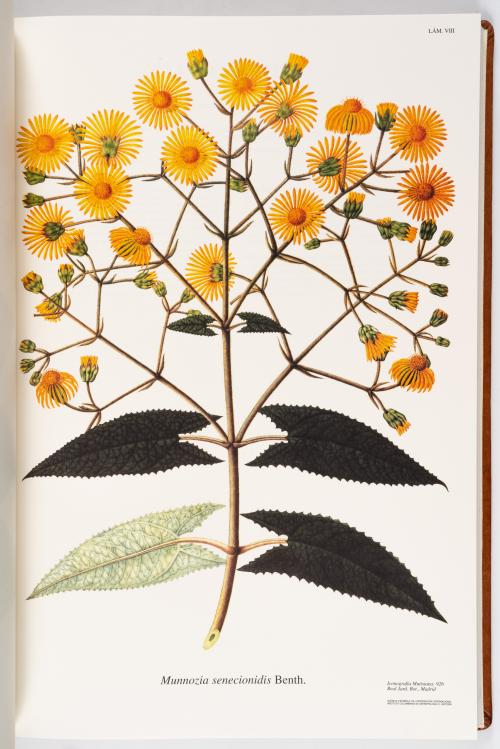 Flora de la Expedición Botánica 