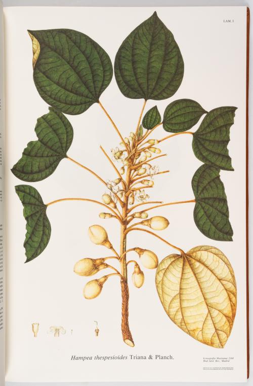 Flora de la Expedición Botánica 