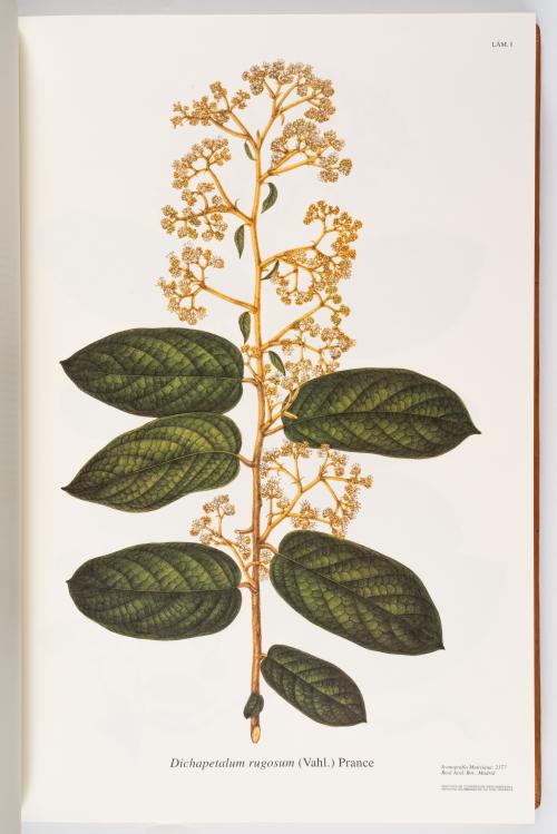 Flora de la Expedición Botánica 