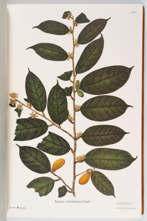 Flora de la Expedición Botánica 