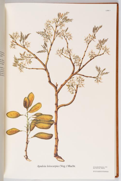Flora de la Expedición Botánica 