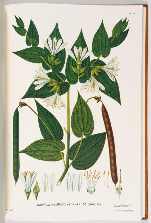 Flora de la Expedición Botánica 