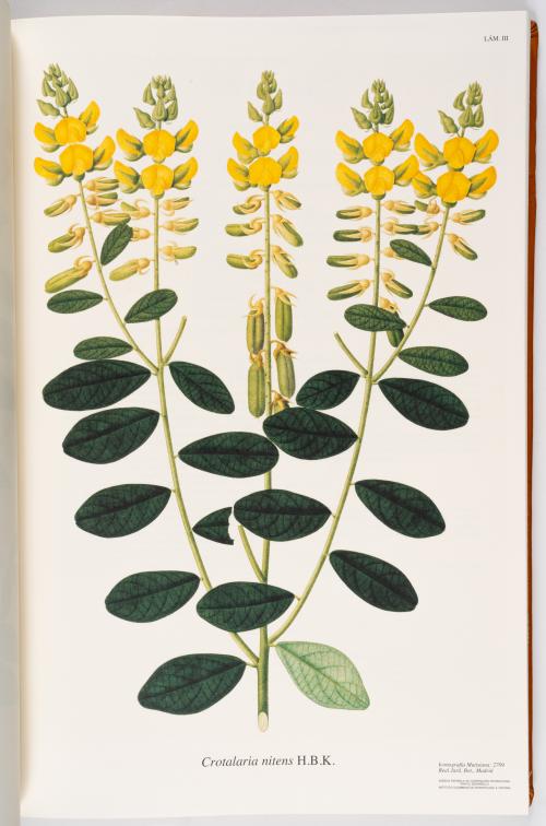 Flora de la Expedición Botánica 
