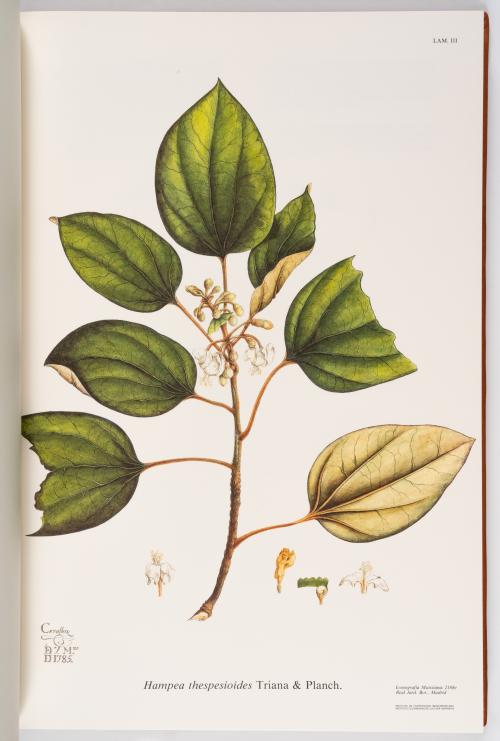 Flora de la Expedición Botánica 