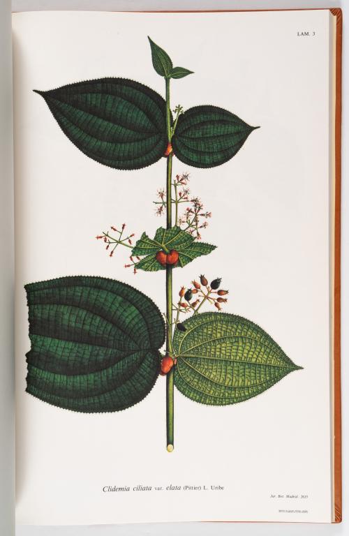 Flora de la Expedición Botánica 