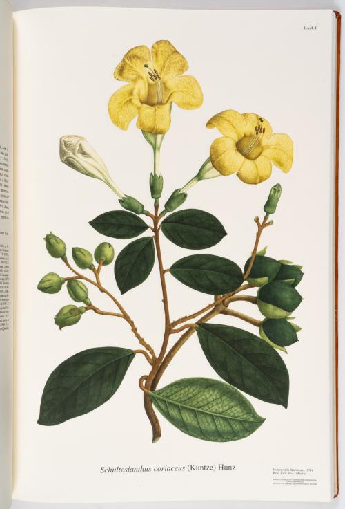 Flora de la Expedición Botánica 