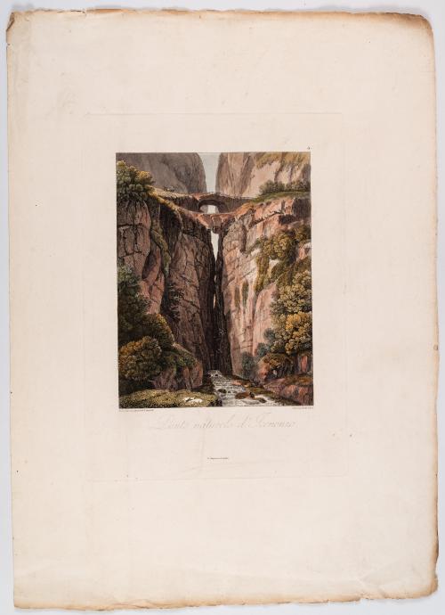 Humboldt, Alexander Von  : Grabado de Humboldt de los Puent