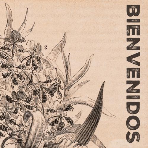 Bienvenidos