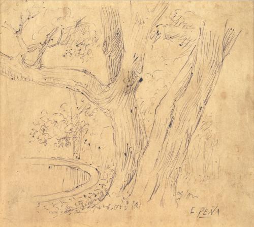 Eugenio Peña Colombia, 1860 - 1944 : Sin título