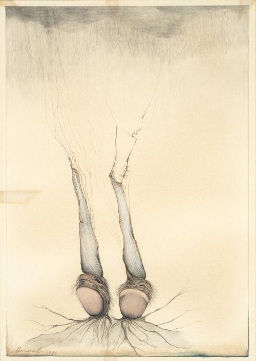 Jim AmaralEE.UU., 1933 : Flor invisible, plancha 68