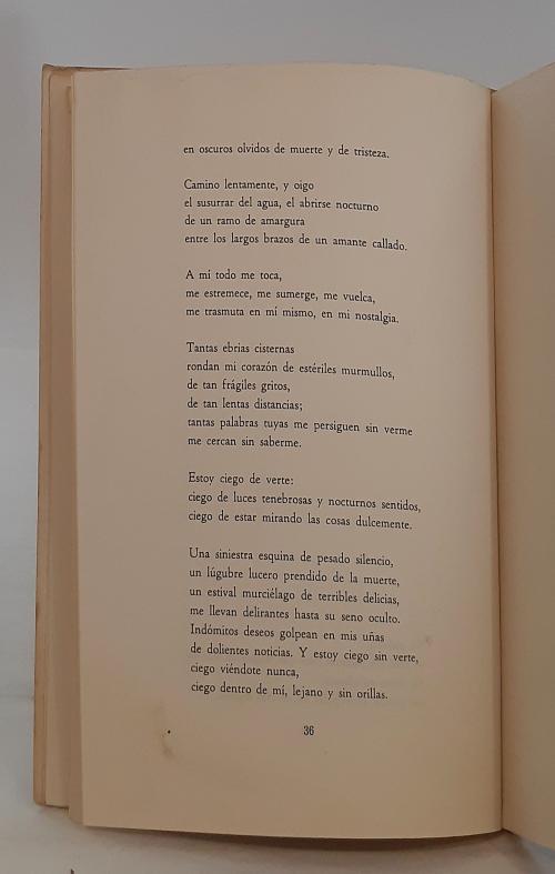  Arbeláez, Fernando : Canto llano