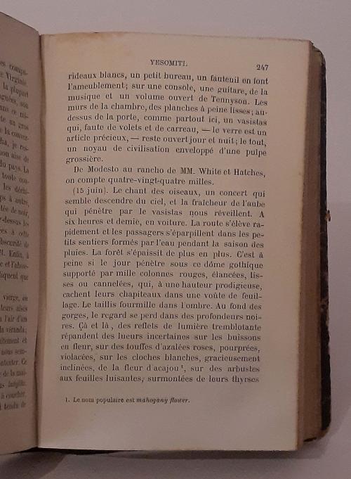 Hübner, Barón de : Promenade Autour du Monde 1871. Tomos I