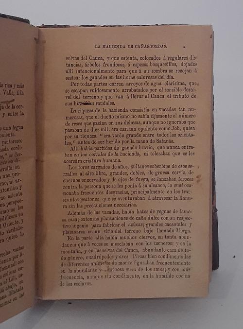  Palacios, Eustaquio : El alférez real novela 