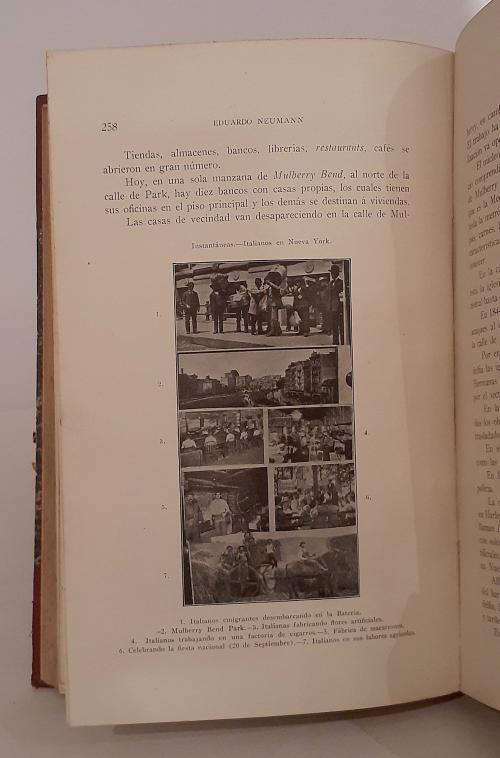 Neumann, Eduardo  : Impresiones de viaje por Norte América