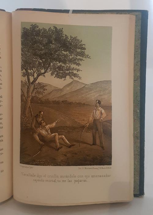 Couto, José Ferrer de : Los negros en sus diversos estados