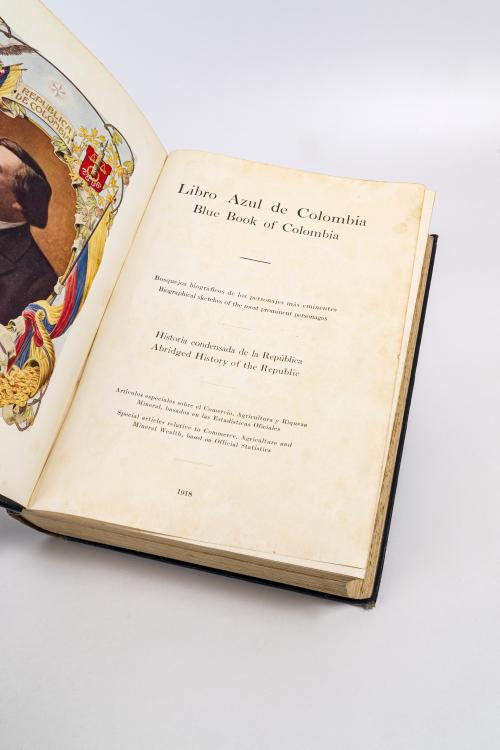 Posada Callejas, Jorge  : Libro azul de Colombia. Bosquejos