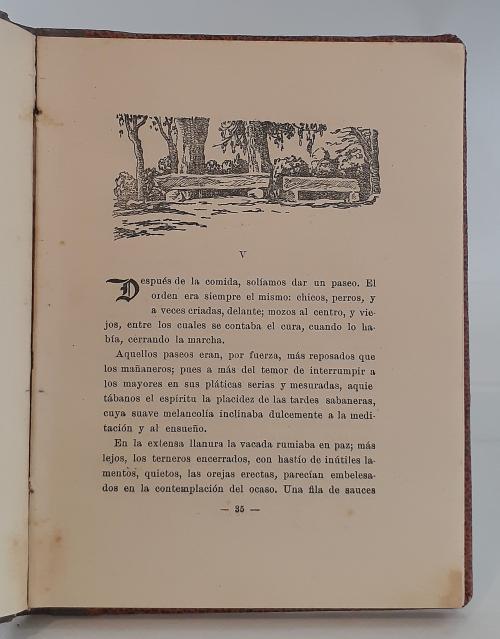 Samper Ortega, Daniel  : En el cerezal. Acuarelas literaria