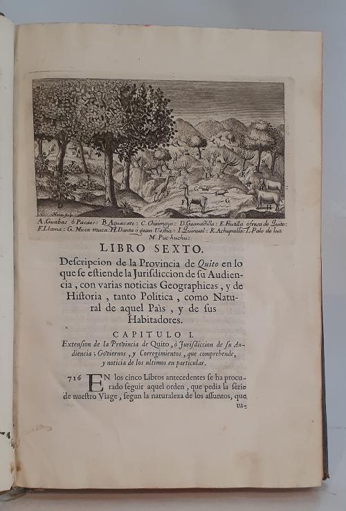 Jorge Juan y Antonio de Ulloa : Relación histórica del viag