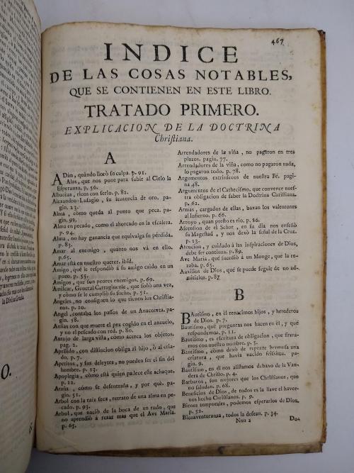 Luz de verdades catholicas y explicación de la doctrina cri