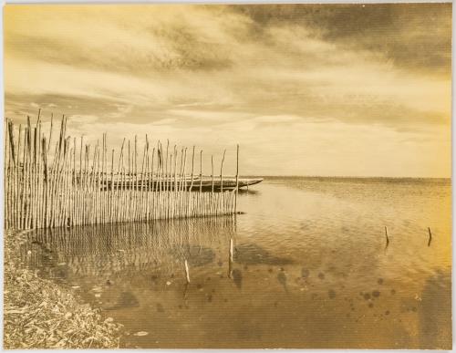 Salamanca, Carlos U. : Canoas en el caribe