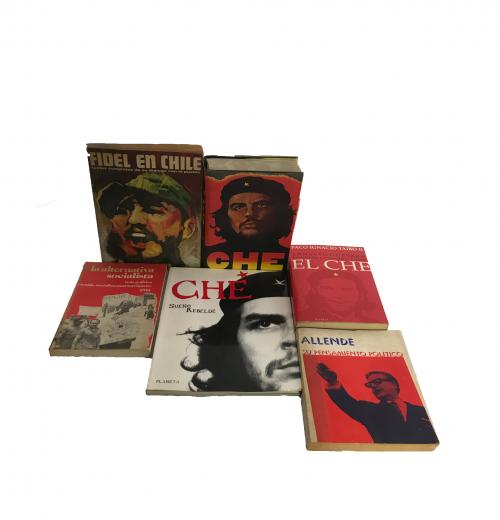 Che Guevara y política Chile: 6 títulos