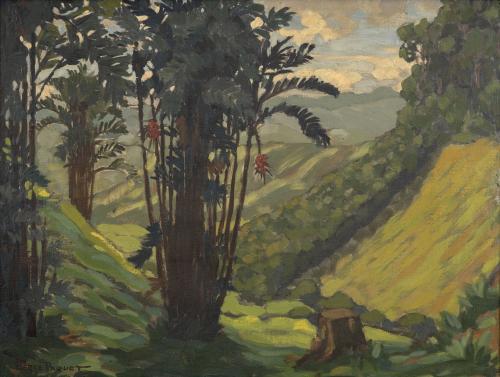 Pierre Daguet Francia, 1903 - 1980 : Mararayes - Tolima, 19