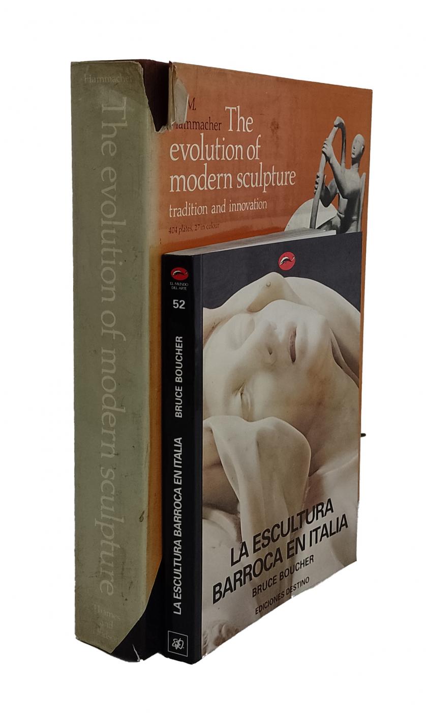 Literatura sobre escultura: 2 libros